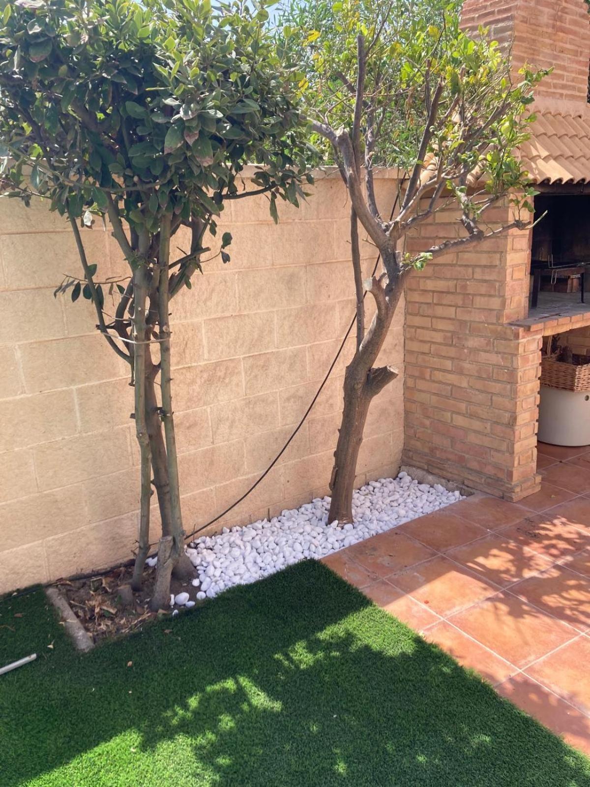Luxury Villa 20Mts Far From The Sea Orihuela Buitenkant foto